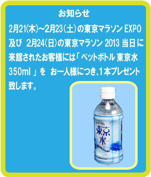 2013marathontoukyousui03.jpg