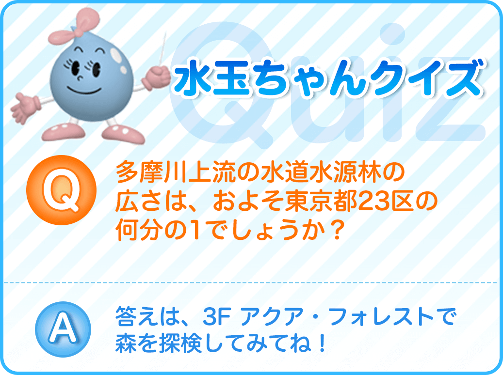 多摩川上流の水道水源林の広さは、およそ東京都の何分の１でしょうか？