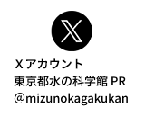 Xページはこちら